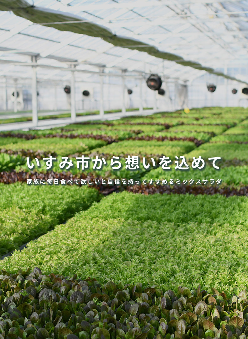 ひあり〜ふ │ Hialeaf
